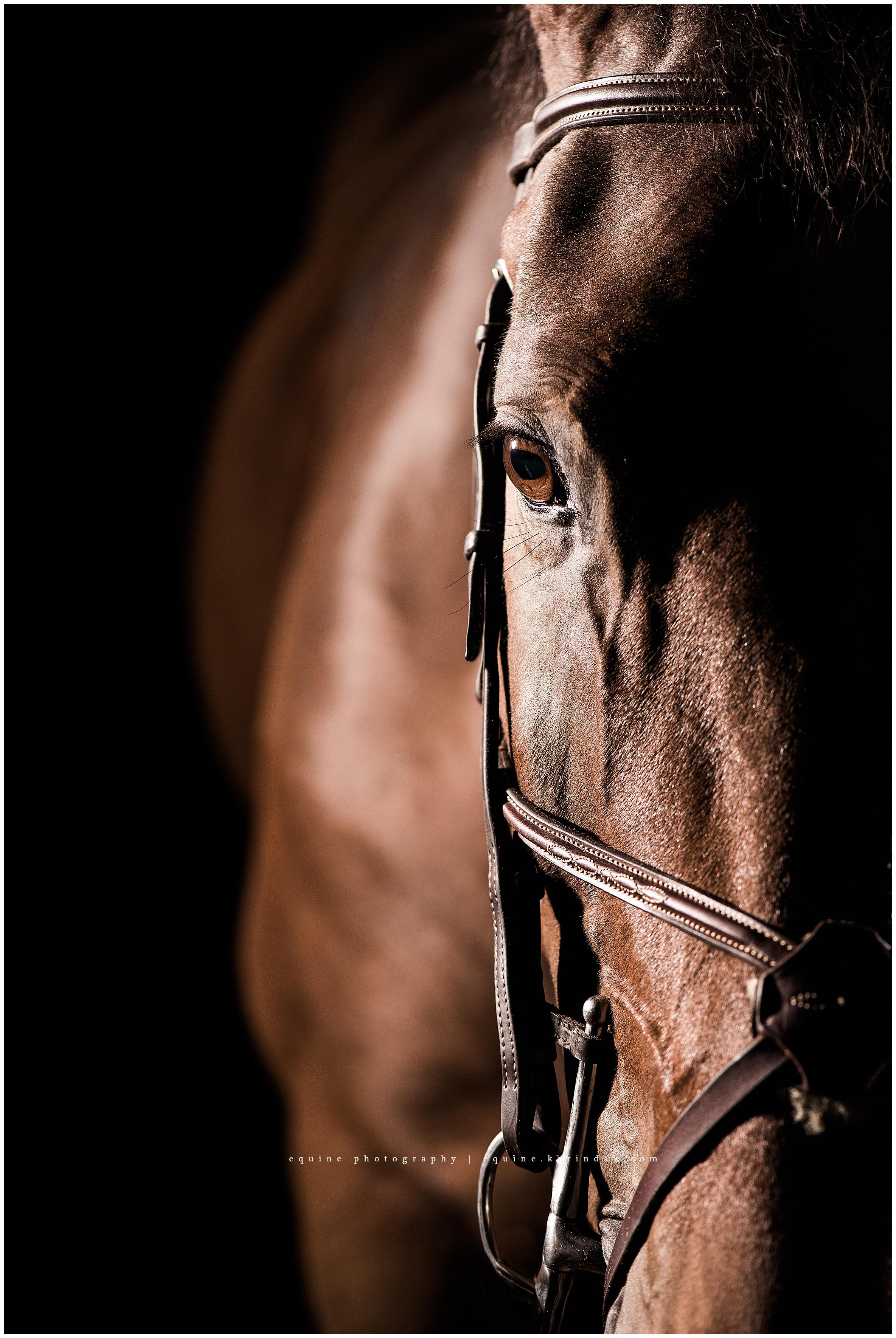 🐑 지구의 꿈 카쿠야마 농장 - 톤덴 팜 이미지 8